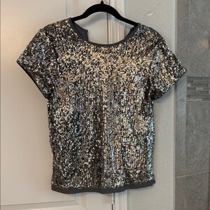 Abercrombie & Fitch Silver Sequin Short Sleeve Top